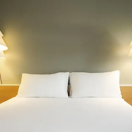 Ibis Sao Joao